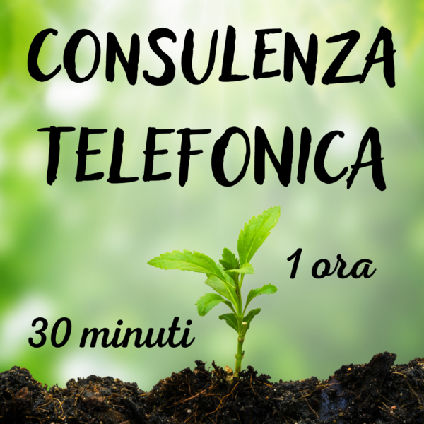 Consulenza Privata Tarologica e Spiritual Life Coaching